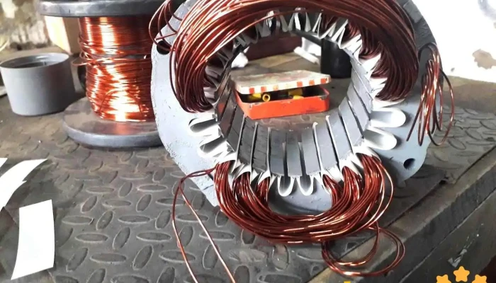Servicio Electrico Mariscal Dn Panchito - Ocotlán De Morelos
