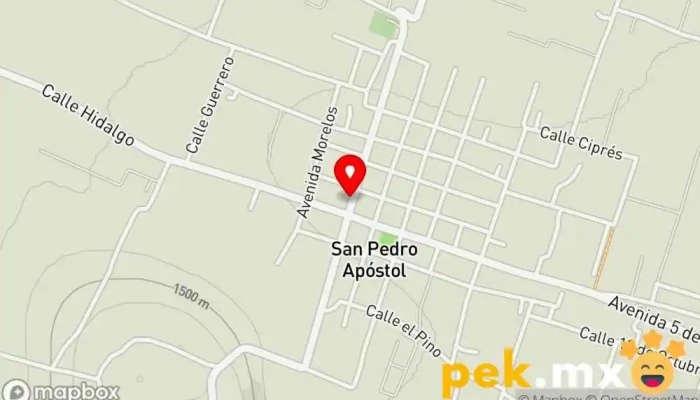 mapa de Servicio Electrico Sanchez Taller de reparación de automóviles en Asunción Ocotlán