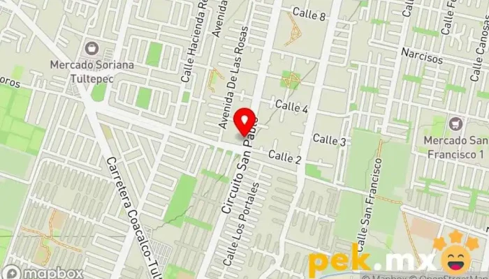 mapa de Servicio electrico TEMO Taller de reparación de automóviles en Santiago Teyahualco