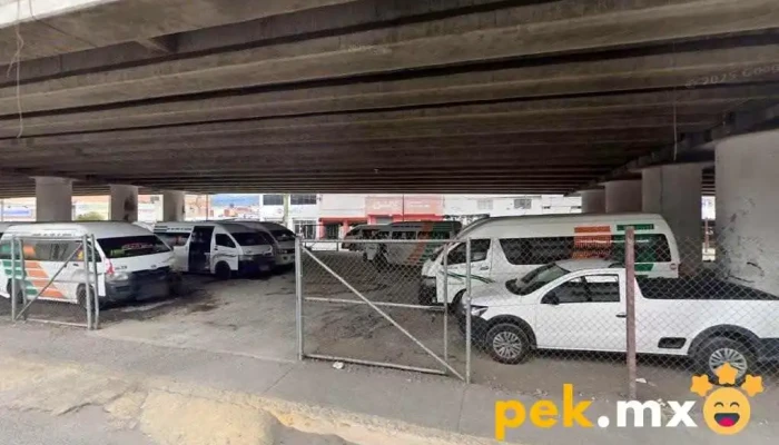 Servicio Eléctrico Tigre Toño - Ехидо Де Чиколоапан