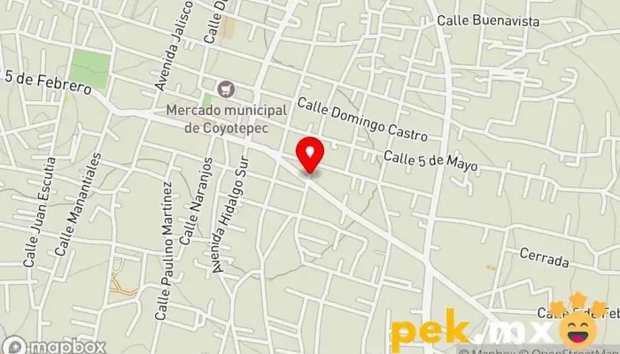 mapa de Servicio eléctrico y mecánico automotriz Taller de reparación de automóviles en Coyotepec
