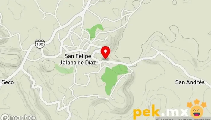 mapa de Servicio electrónico Taller de reparación de instrumentos musicales en San Felipe Jalapa de Díaz
