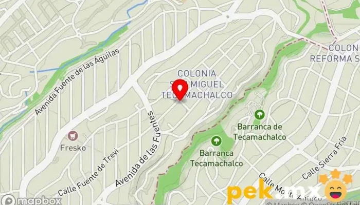 mapa de Servicio Frutis Servicio de reparación de sistemas eléctricos para automóviles en Naucalpan de Juárez