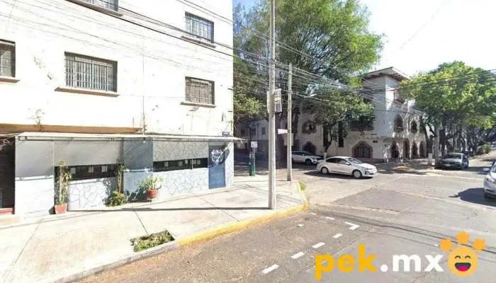 Servicio "Leo" - Cuauhtémoc, Ciudad De México