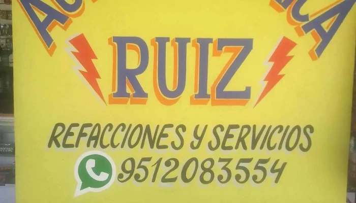 Servicio Ruiz Electrico -  Del Propietario - Magdalena Apasco