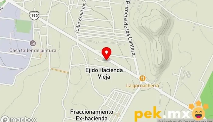 mapa de Servicio Ruiz Electrico Taller de reparación de automóviles en Magdalena Apasco