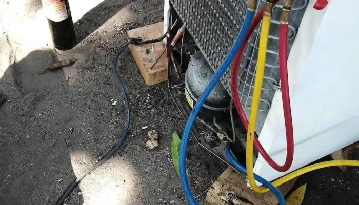Servicio técnico profesional - Mexico