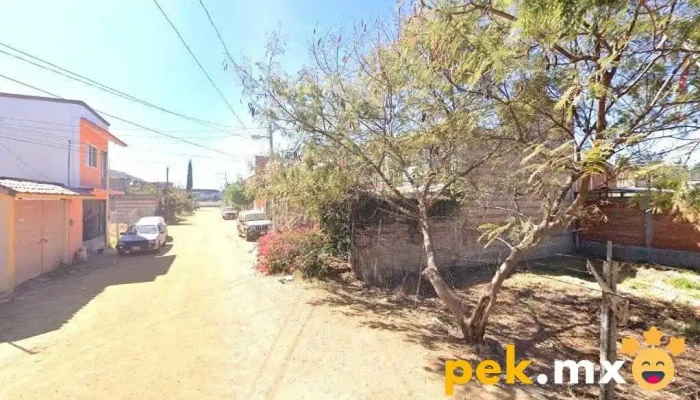 Servicios de Electricidad y Plomería - Oaxaca De Juárez