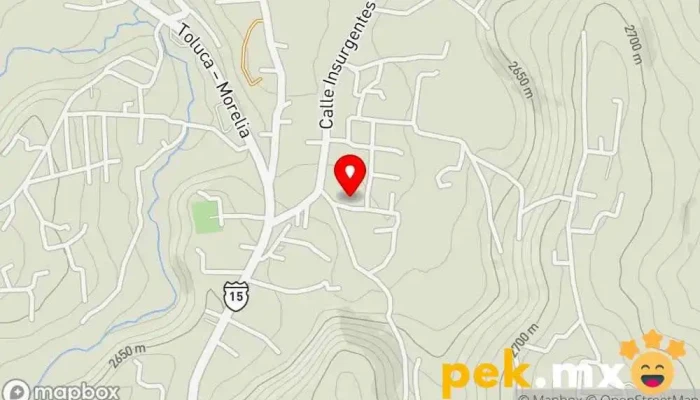 mapa de Servicios de mantenimiento eléctrico industrial ALEO Ingeniero eléctrico en San Miguel Almoloyán