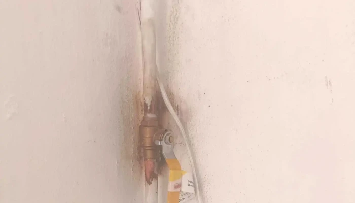 Servicios De Plomeria Y Electricidad Carlos Guerrero Zona - México