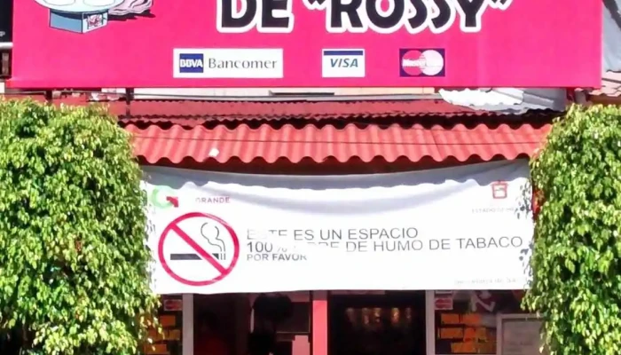 Servicios De Plomeria Y Electricidad Zona - Cdad. López Mateos