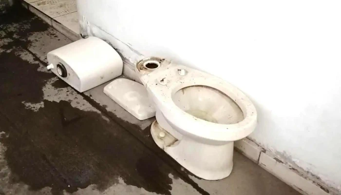 Servicios Electricos De Sinaloa -  Interior - Culiacán Rosales