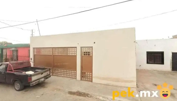 Servicios Eléctricos De Sonora - Sahuaro