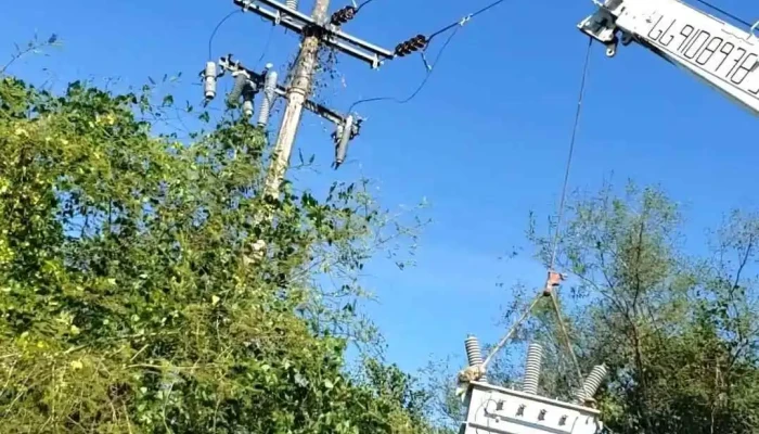 Servicios Electricos Industriales Salazar Videos - Agua Verde
