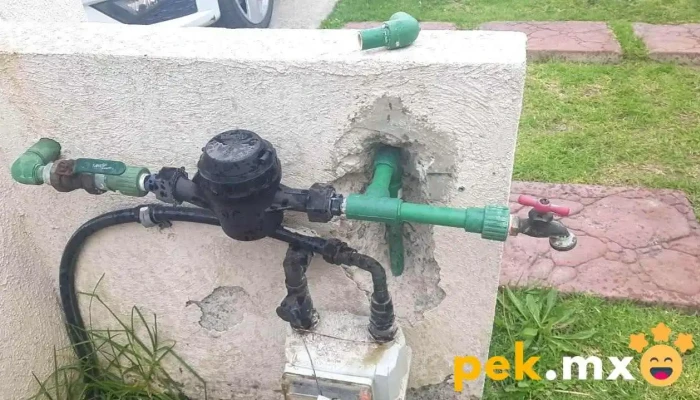 Servicios en su Hogar - Cuautitlán