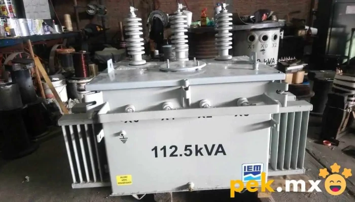Servicios generales de ingeniería eléctrica - Zona Centro