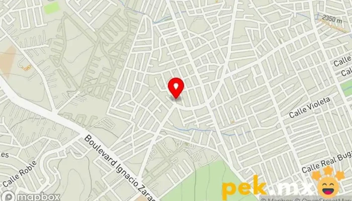 mapa de Servicios Integrales Eléctricos J&A Electricista en Cdad. López Mateos
