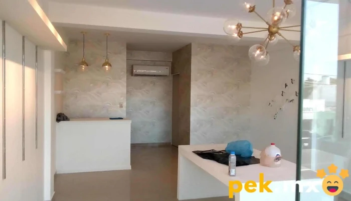 Servicios Integrales Felix Del Propietario - Culiacán Rosales