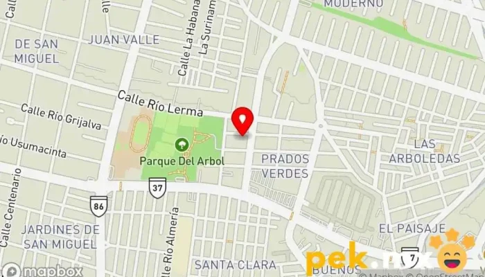 mapa de SERVICIOS MACROELECTRICOS S.A DE C.V. Servicio de instalación eléctrica en León de los Aldama