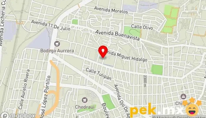 mapa de Servicios MS Compañía eléctrica en Buenavista