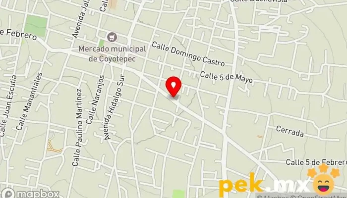 mapa de Servico Electrico Pineda Taller de reparación de automóviles en Coyotepec