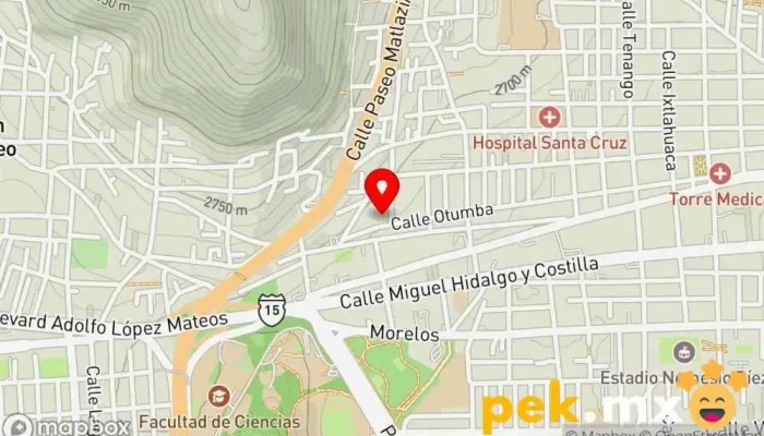 mapa de Subdirección de Profesiones Oficina de gobierno local en Toluca de Lerdo