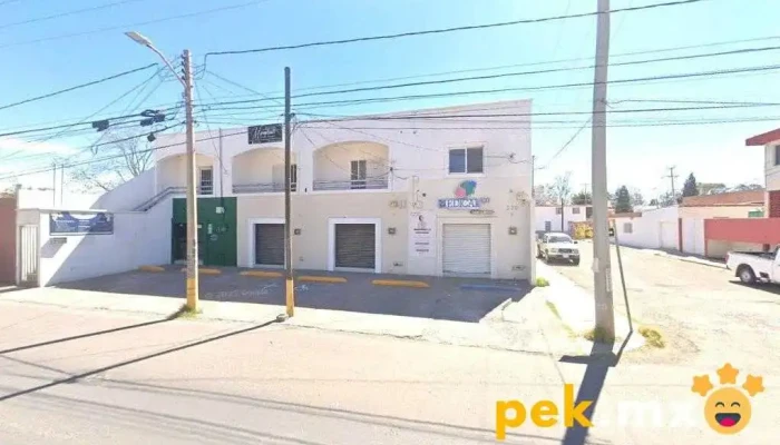 Sustentable Norte - Amapola 335-Int6