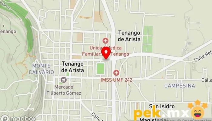 mapa de Taller de Plomería Tenango Fontanero en Tenango de Arista