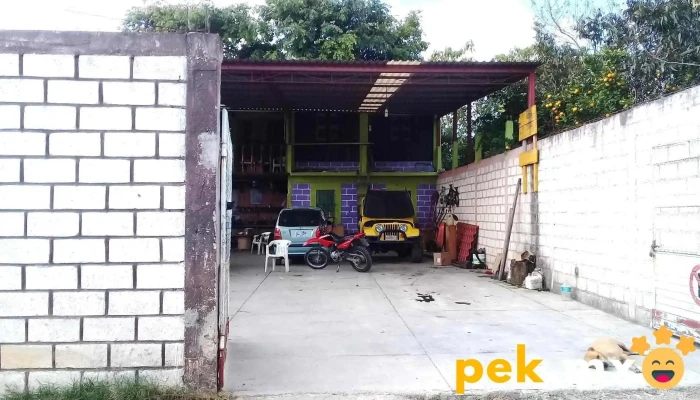 Taller Eléctrico Automotriz Teno - 30187 Las Margaritas