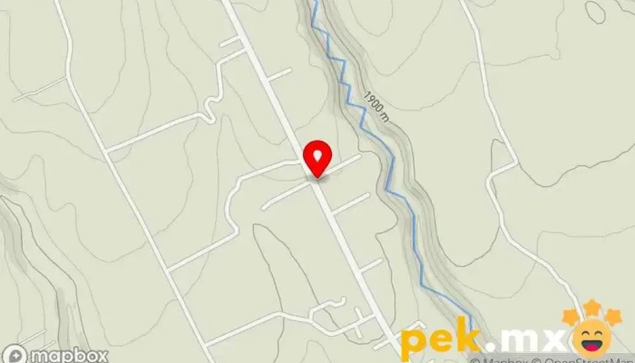 mapa de Taller Eléctrico Taller de reparación de automóviles en Coatepec Harinas