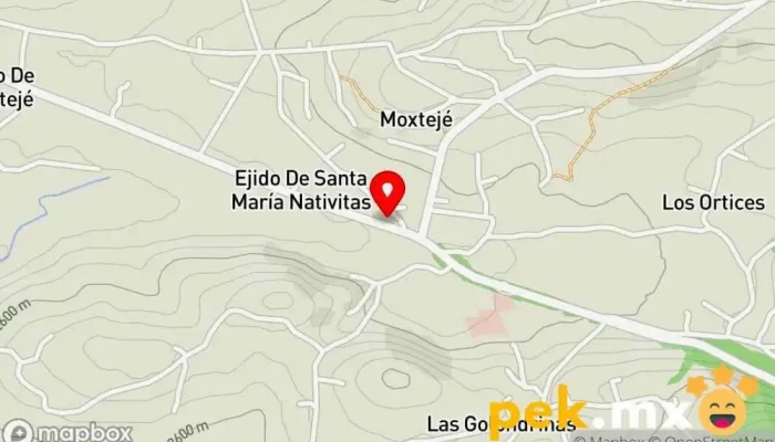 mapa de Taller eléctrico Taller de reparación de automóviles en Ejido de Santa María Nativitas