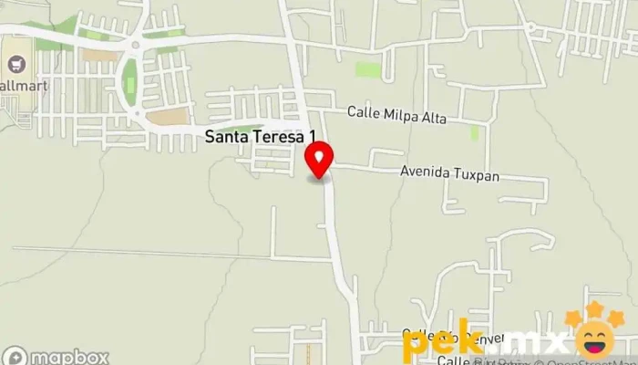 mapa de TALLER ELÉCTRICO PELUCHO Taller de reparación de automóviles en Col Santa Teresa