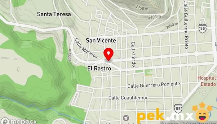 mapa de Taller Electrico San Martin Taller de reparación de automóviles en Tenancingo de Degollado