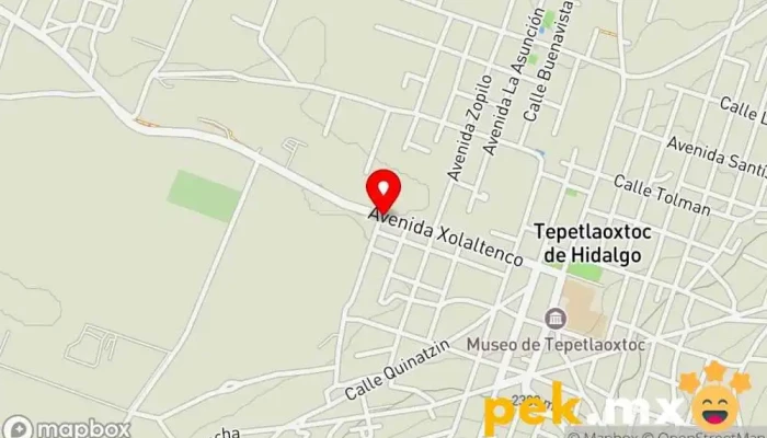 mapa de Taller Eléctrico Xolaltenco Servicio de reparación de sistemas eléctricos para automóviles en Tepetlaoxtoc de Hidalgo