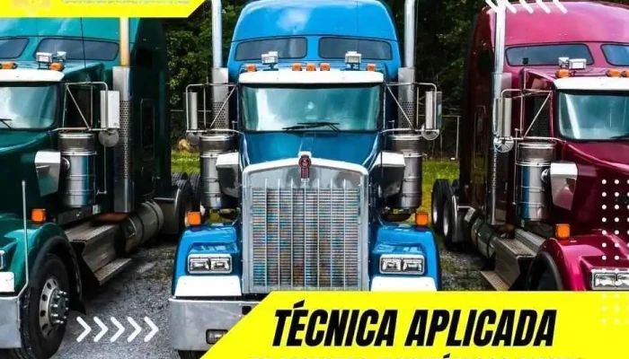 Tamed Técnica Aplicada en Motores Electrónicos Diesel - Cocotitlán