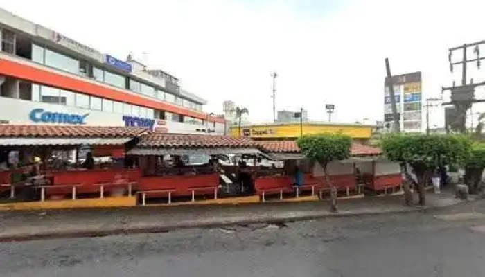 Tech Monkey -  Instagramdeg - Cuernavaca