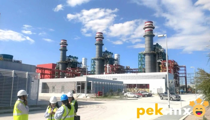 Techgen / Central Eléctrica Pesquería - México