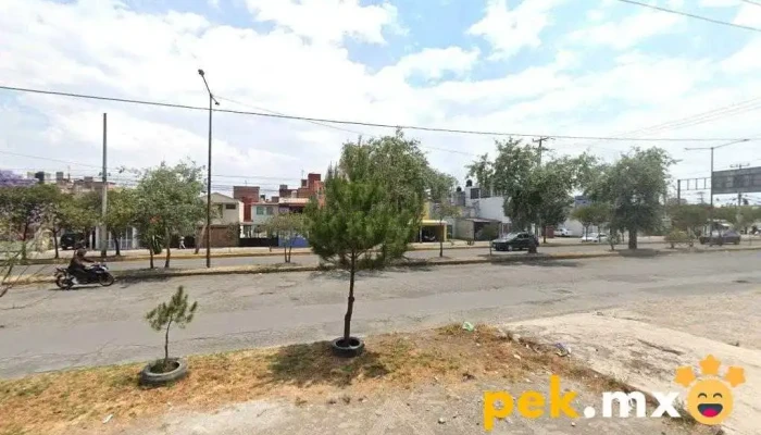 Técnico en Plomería y Electricidad - Toluca De Lerdo