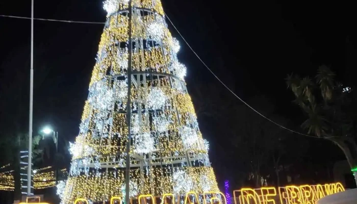 Tecnilight Iluminacion Del Propietario - Tehuacán