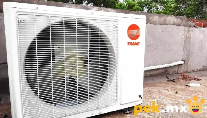 Tecnoclimas Ixtepec -  Del Propietario - Cdad. Ixtepec