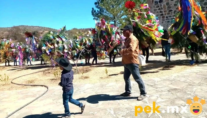 Templo De San Pedro Apostol Videos - San Pedro Taviche