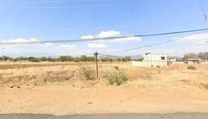 Tornillo Ferretero -  Dondedeg - Villa de Zaachila