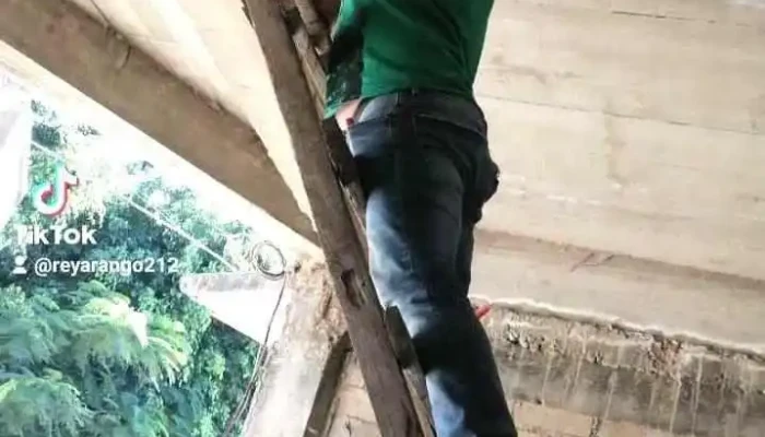 Trabajos De Electricidad Y Plomeria Mr Shark Del Propietario - Soledad Etla