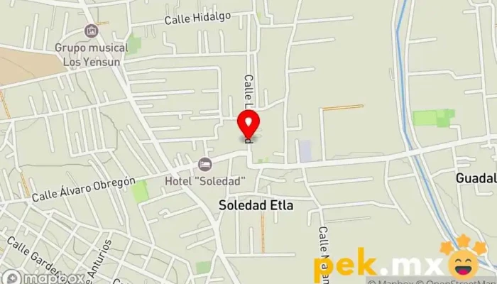 mapa de Trabajos de Electricidad Y Plomeria MR. SHARK Servicio de instalación eléctrica en Soledad Etla