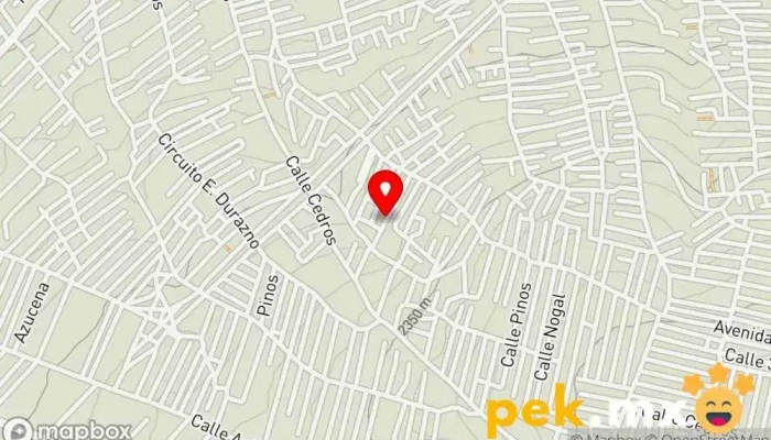 mapa de Transfo Electricista en Chimalhuacán