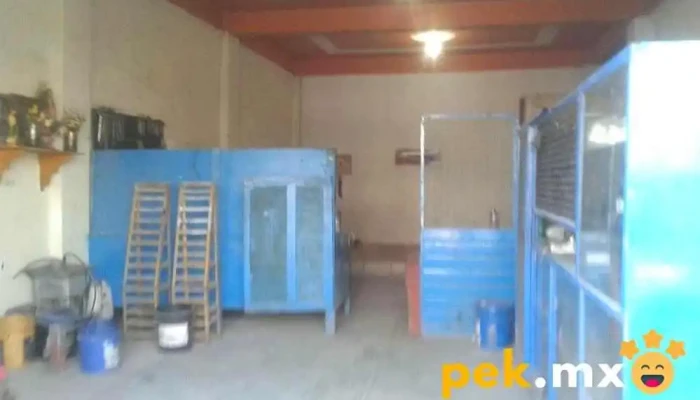Venta de Refacciones Electrico "El Zurbo" - Coyotepec