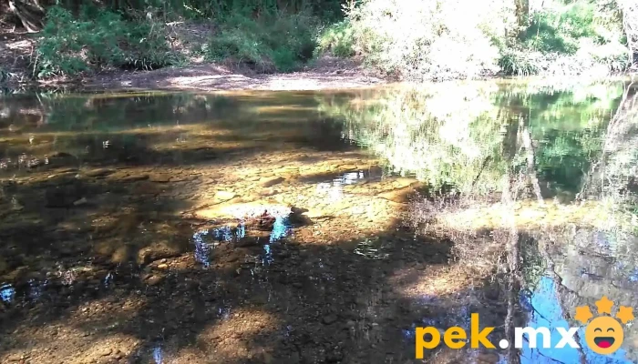 Villa Sola De Vega -  Videos - Villa Sola de Vega