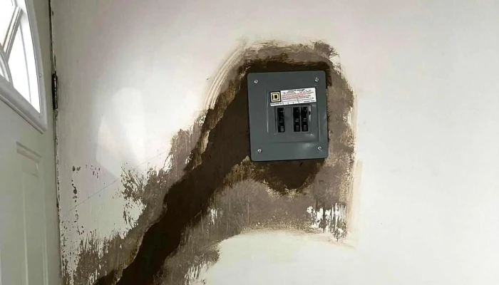 Voltay Electric Solutions Ingeniero Electrico Alan Ayon Horario - Zapopan